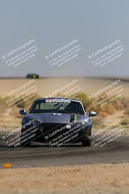 media/Oct-14-2023-Lucky Dog Racing (Sat) [[cef75db616]]/2nd Stint Turn 16/